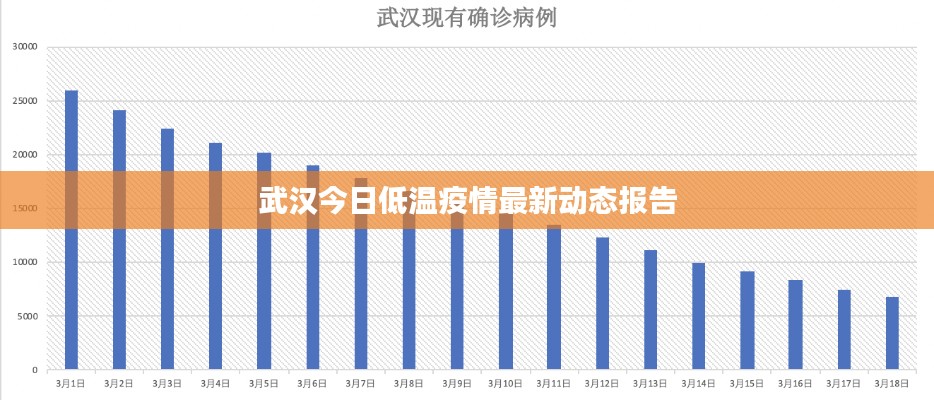 武漢今日低溫疫情最新動態(tài)報告