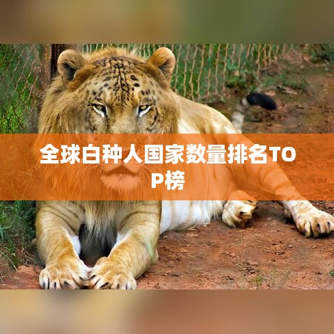 全球白種人國(guó)家數(shù)量排名TOP榜