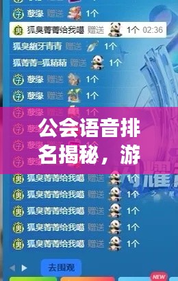 公會(huì)語音排名揭秘，游戲社交新潮流TOP10