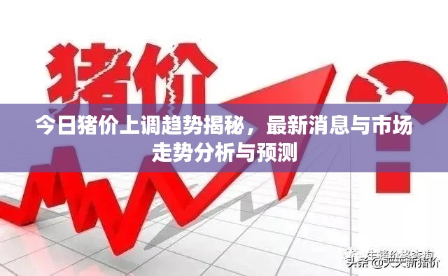 今日豬價(jià)上調(diào)趨勢(shì)揭秘，最新消息與市場(chǎng)走勢(shì)分析與預(yù)測(cè)