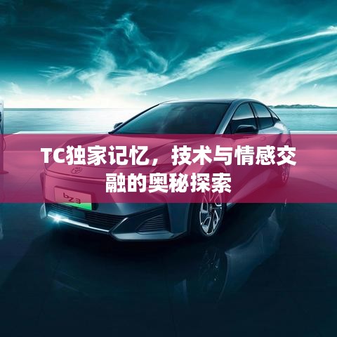 TC獨(dú)家記憶，技術(shù)與情感交融的奧秘探索