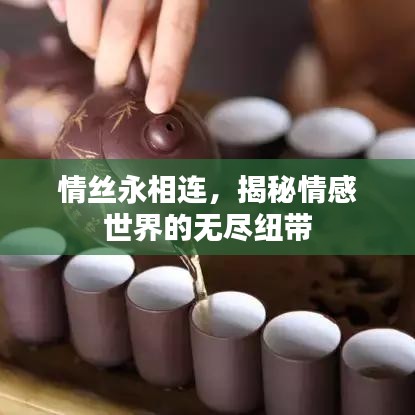 情絲永相連，揭秘情感世界的無(wú)盡紐帶