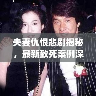 夫妻仇恨悲劇揭秘，最新致死案例深度剖析