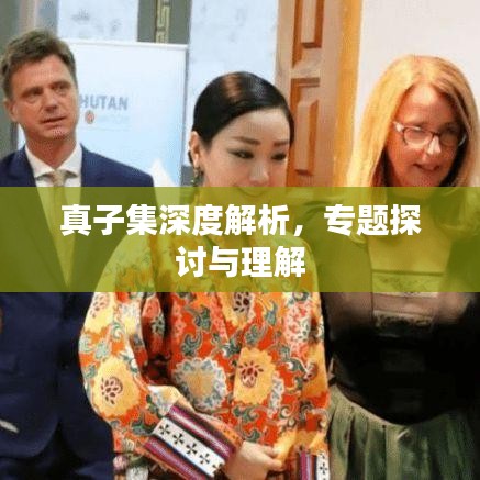 真子集深度解析，專題探討與理解