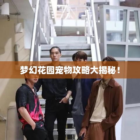 夢(mèng)幻花園寵物攻略大揭秘！