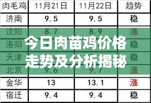 今日肉苗雞價格走勢及分析揭秘