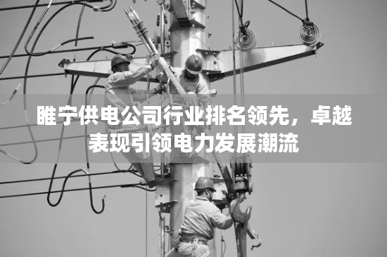 睢寧供電公司行業(yè)排名領(lǐng)先，卓越表現(xiàn)引領(lǐng)電力發(fā)展潮流