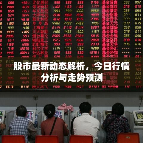 股市最新動態(tài)解析，今日行情分析與走勢預(yù)測