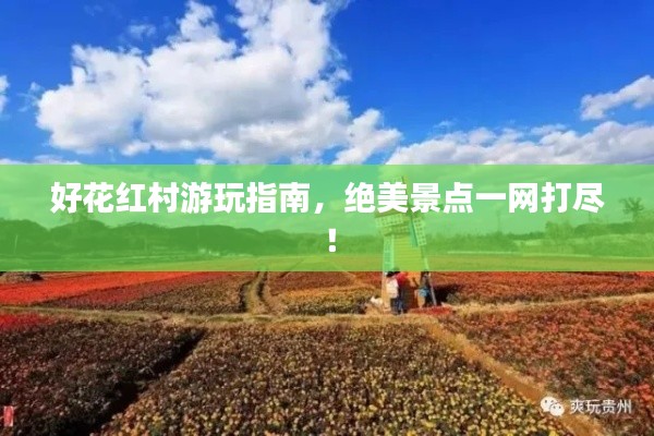 好花紅村游玩指南，絕美景點一網打盡！