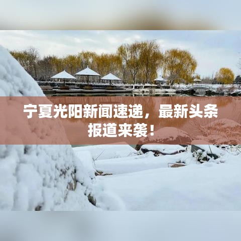 寧夏光陽新聞速遞，最新頭條報(bào)道來襲！