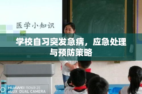 學(xué)校自習(xí)突發(fā)急病，應(yīng)急處理與預(yù)防策略