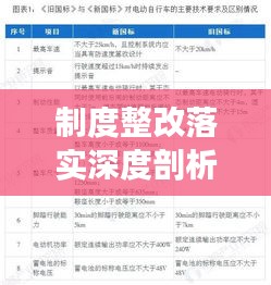 制度整改落實(shí)深度剖析，成效與挑戰(zhàn)并存