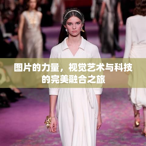 圖片的力量，視覺(jué)藝術(shù)與科技的完美融合之旅
