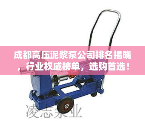 成都高壓泥漿泵公司排名揭曉，行業(yè)權(quán)威榜單，選購首選！