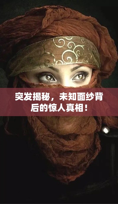 突發(fā)揭秘，未知面紗背后的驚人真相！