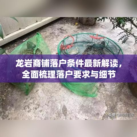 龍巖商鋪落戶條件最新解讀，全面梳理落戶要求與細(xì)節(jié)