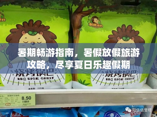 暑期暢游指南，暑假放假旅游攻略，盡享夏日樂趣假期