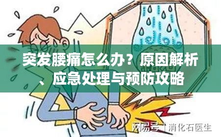 突發(fā)腰痛怎么辦？原因解析、應(yīng)急處理與預(yù)防攻略