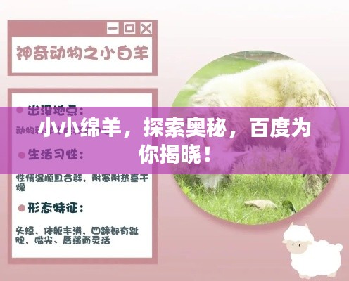 小小綿羊，探索奧秘，百度為你揭曉！