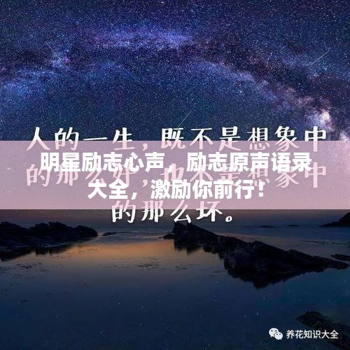 明星勵(lì)志心聲，勵(lì)志原聲語錄大全，激勵(lì)你前行！