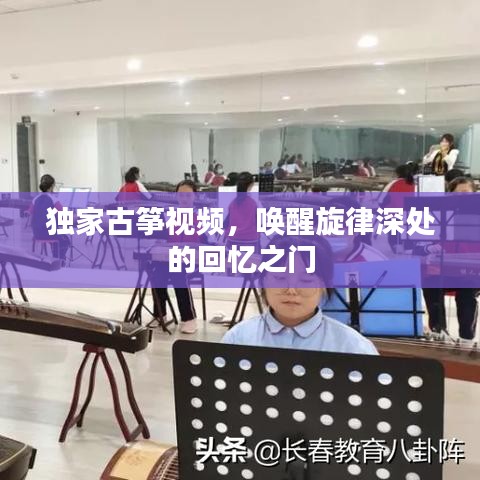 獨(dú)家古箏視頻，喚醒旋律深處的回憶之門
