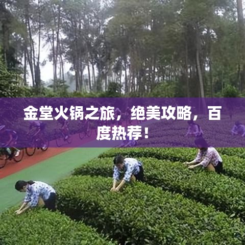 金堂火鍋之旅，絕美攻略，百度熱薦！