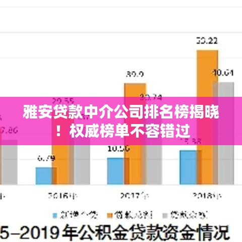 雅安貸款中介公司排名榜揭曉！權(quán)威榜單不容錯過