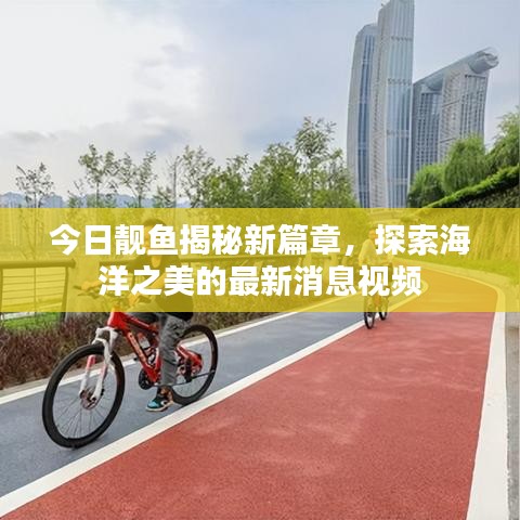 今日靚魚揭秘新篇章，探索海洋之美的最新消息視頻
