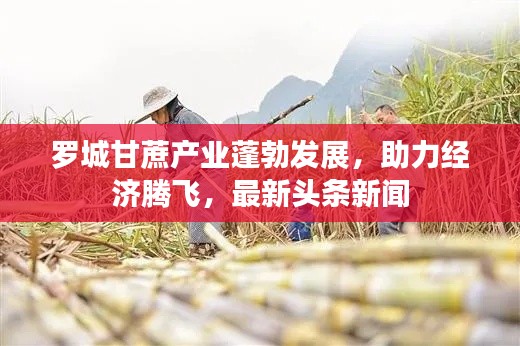 羅城甘蔗產(chǎn)業(yè)蓬勃發(fā)展，助力經(jīng)濟(jì)騰飛，最新頭條新聞