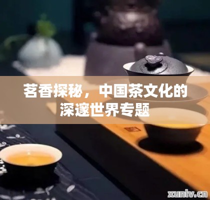 茗香探秘，中國(guó)茶文化的深邃世界專題
