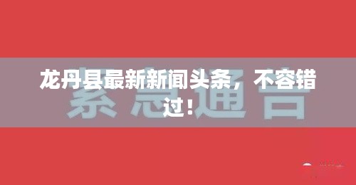 龍丹縣最新新聞頭條，不容錯過！
