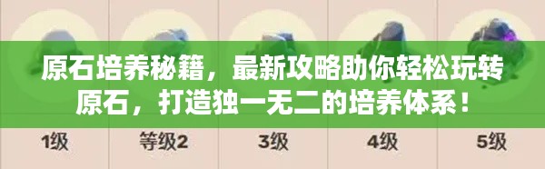 原石培養(yǎng)秘籍，最新攻略助你輕松玩轉(zhuǎn)原石，打造獨(dú)一無二的培養(yǎng)體系！