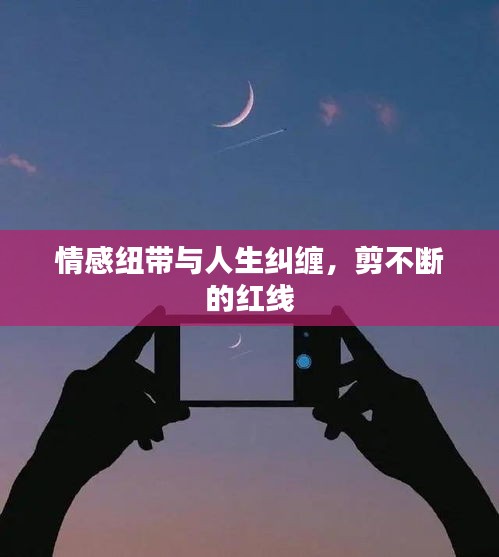 情感紐帶與人生糾纏，剪不斷的紅線
