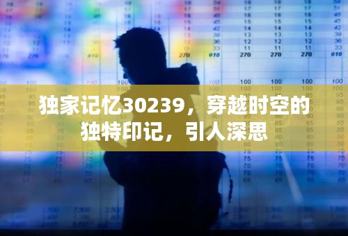 獨(dú)家記憶30239，穿越時(shí)空的獨(dú)特印記，引人深思
