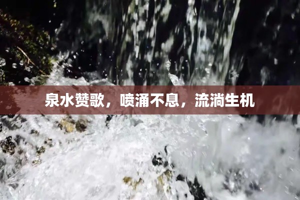 泉水贊歌，噴涌不息，流淌生機(jī)