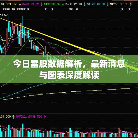 今日雷股數(shù)據(jù)解析，最新消息與圖表深度解讀