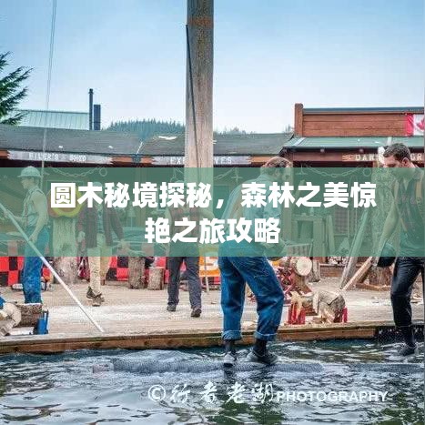 圓木秘境探秘，森林之美驚艷之旅攻略