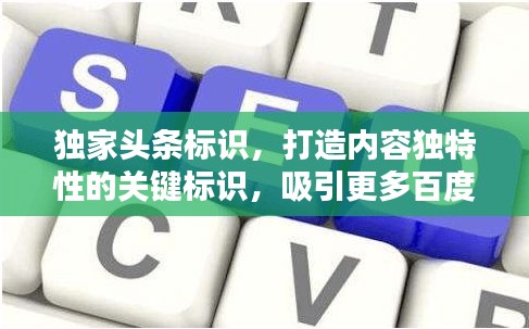 獨(dú)家頭條標(biāo)識(shí)，打造內(nèi)容獨(dú)特性的關(guān)鍵標(biāo)識(shí)，吸引更多百度用戶關(guān)注！