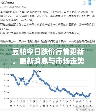 豆粕今日跌價行情更新，最新消息與市場走勢分析