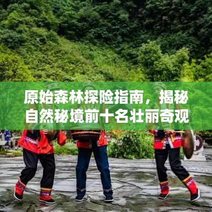 原始森林探險指南，揭秘自然秘境前十名壯麗奇觀！