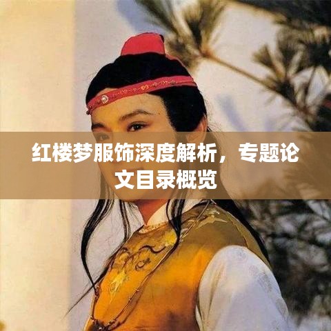 紅樓夢(mèng)服飾深度解析，專題論文目錄概覽