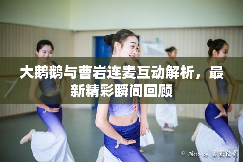 大鵝鵝與曹巖連麥互動(dòng)解析，最新精彩瞬間回顧