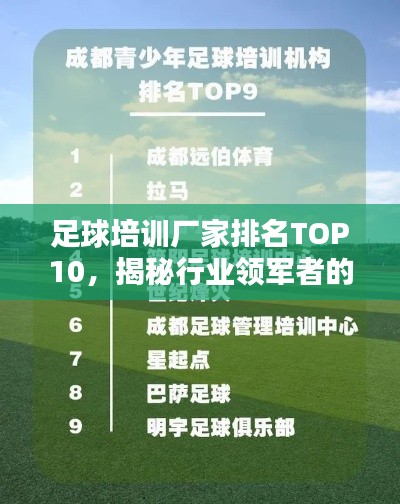 足球培訓(xùn)廠家排名TOP10，揭秘行業(yè)領(lǐng)軍者的秘密！