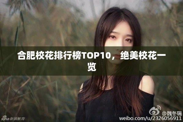 合肥?；ㄅ判邪馮OP10，絕美校花一覽