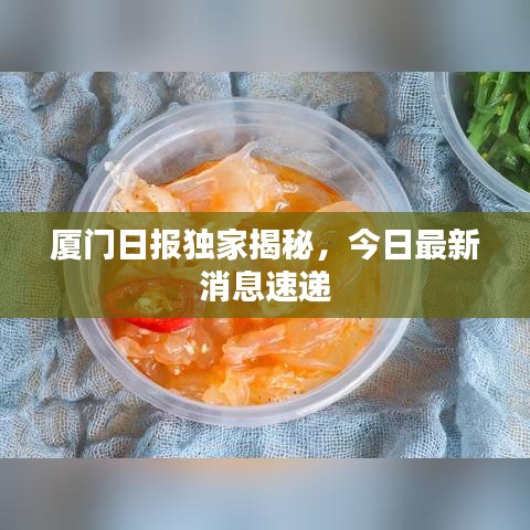 廈門(mén)日?qǐng)?bào)獨(dú)家揭秘，今日最新消息速遞