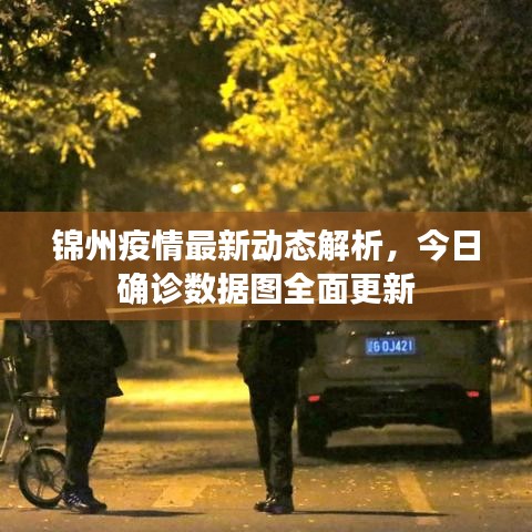錦州疫情最新動態(tài)解析，今日確診數(shù)據(jù)圖全面更新