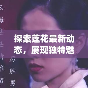 探索蓮花最新動態(tài)，展現(xiàn)獨(dú)特魅力——蓮花新聞頭條今日關(guān)注