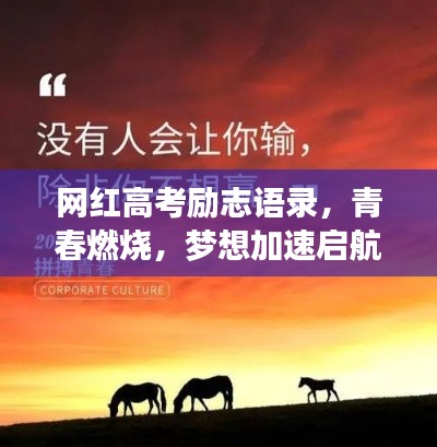 網(wǎng)紅高考勵志語錄，青春燃燒，夢想加速啟航