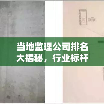 當(dāng)?shù)乇O(jiān)理公司排名大揭秘，行業(yè)標(biāo)桿一覽