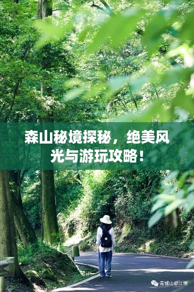 森山秘境探秘，絕美風(fēng)光與游玩攻略！
